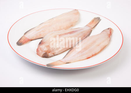 Seul le poisson cru prêt à cuire. Assiette de trois pièces isolées sur fond blanc Banque D'Images