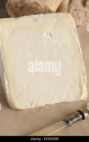 Vignotte une forte teneur en gras français style Brie crème fromage fabriqué dans la région Champagne-Ardenne de Normandie Banque D'Images