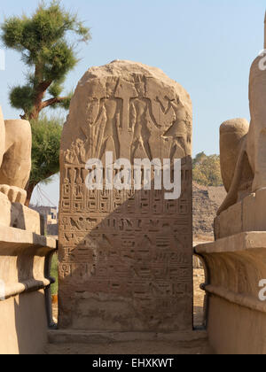 Stèle à l'Avenue de Sphinx tête Ram menant au Premier pylône du Temple d'Amon à Karnak, Louxor, Égypte Banque D'Images