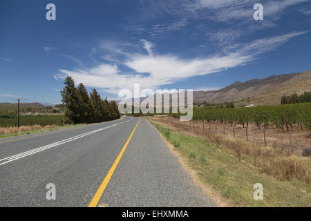 La belle Route 62 Route de Oudtshoorn dans l'ouest du Cap, en Afrique du Sud, en passant par les vignes et les montagnes. Banque D'Images