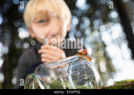 Escargot sur un verre avec petit garçon à la loupe à travers à l'arrière-plan Banque D'Images