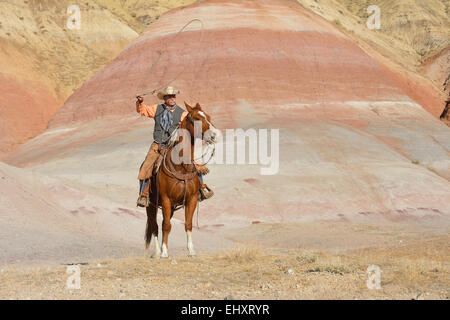 USA, Wyoming, Big Horn Mountains, cowboy sur son cheval lasso oscillante Banque D'Images