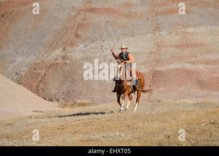 USA, Wyoming, Big Horn Mountains, équitation cowboy lasso oscillante Banque D'Images