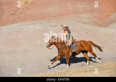 USA, Wyoming, Big Horn Mountains, équitation cowboy lasso oscillante Banque D'Images