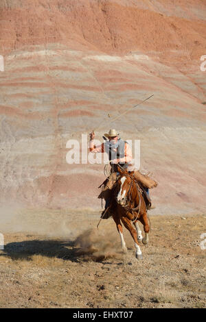 USA, Wyoming, Big Horn Mountains, équitation cowboy lasso oscillante Banque D'Images