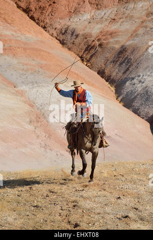 USA, Wyoming, Big Horn Mountains, équitation cowboy lasso oscillante Banque D'Images