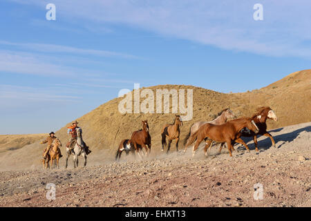 USA, Wyoming, deux troupeaux de chevaux dans badlands cowboys Banque D'Images