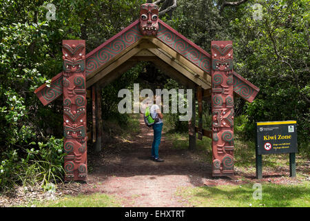 Couvercle sculpté Maori sur un site d'information au début d'une marche à Whakatane, Nouvelle Zélande. Banque D'Images