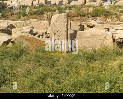 Close up de secours menées sur certains des blocs cassés dans des magazines au Temple de Karnak, Louxor Égypte Banque D'Images