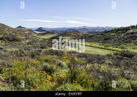 Spring Hills et de prairies avec vue sur mille chênes et les montagnes de Santa Monica en Californie du Sud. Banque D'Images