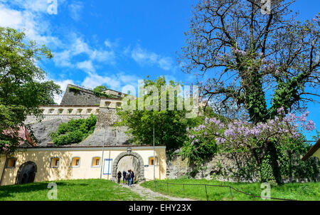 Château de Riegersburg un château médiéval situé sur un volcan dormant au-dessus de la ville de Feldbach dans l'État autrichien de Styrie Banque D'Images