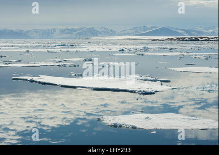 Le paysage magnifique de la glace de mer et montagnes couvertes de neige le long de la côte nord-ouest du Spitzberg, Svalbard dans l'Arctique norvégien Banque D'Images