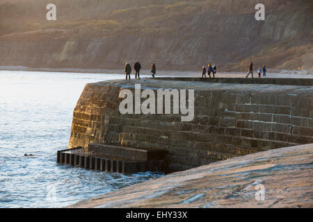 La COB, Lyme Regis Dorset, UK Banque D'Images