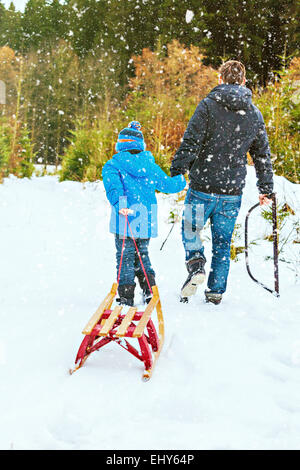 Le père et le fils à la recherche de l'arbre de Noël parfait Banque D'Images