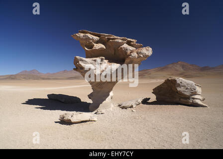 Arbre généalogique de pierre dans le désert aride de l'Amérique du Sud Bolivie Andes Banque D'Images