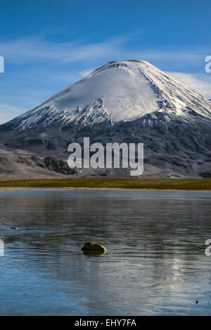 Vue panoramique du volcan Nevado Sajama, plus haut sommet de Bolivie dans le parc national de Sajama Banque D'Images