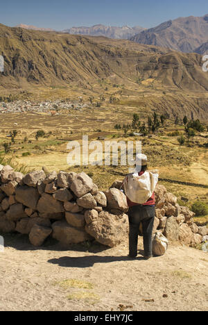 L'homme des populations autochtones à la recherche de paysage aride autour de Canon del Colca, célèbre destination touristique au Pérou Banque D'Images