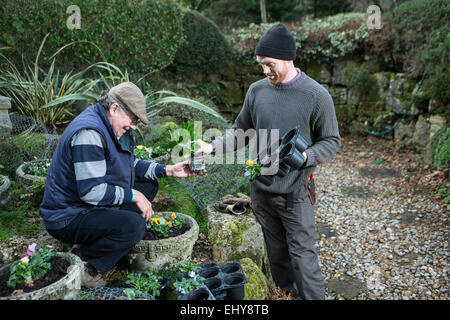 Deux hommes planter des fleurs dans le jardin, Bournemouth, Dorset County, au Royaume-Uni, en Europe Banque D'Images