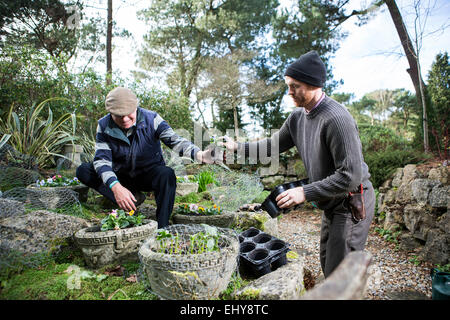Deux hommes planter des fleurs dans le jardin, Bournemouth, Dorset County, au Royaume-Uni, en Europe Banque D'Images