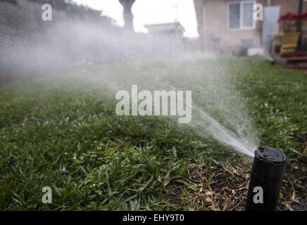 Los Angeles, Californie, USA. 18 Mar, 2015. Une tête dans l'arrosage d'une pelouse à Los Angeles le 18 mars 2015. Les organismes de réglementation de l'état de Californie a approuvé d'autres restrictions sur l'utilisation de l'eau comme la sécheresse record qui secoue le plus peuplé de l'État américaine entre dans une quatrième année. Les nouvelles règles par les ressources en eau de l'État de Californie résidents à partir de la commission de contrôle de l'interdire l'arrosage des pelouses dans les 48 heures après une tempête de pluie et de limiter l'arrosage pour seulement deux jours par semaine. Restaurants et bars ne peut que servir l'eau si demandé par un client. Hôtel Motel et les opérateurs doivent offrir les clients que le choix de ne pas avoir Banque D'Images