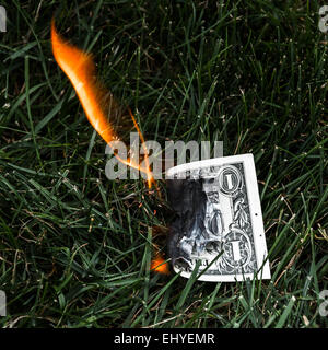 Un dollar bill dans l'herbe. Banque D'Images