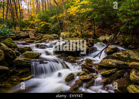 La couleur en automne et cascades le Boone Fork le long de la Blue Ridge Parkway, Caroline du Nord. Banque D'Images