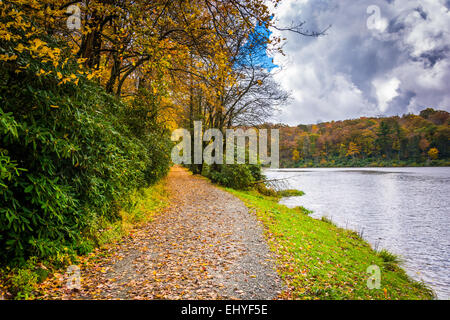 La couleur en automne et au sentier du lac à la truite à Moses H. Cone Park, sur le Blue Ridge Parkway, Caroline du Nord. Banque D'Images