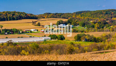 Au début de l'automne vue sur les champs et collines en milieu rural dans le comté de York, Pennsylvanie. Banque D'Images