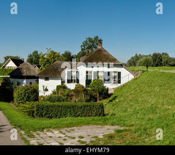 Pays-bas, la Hollande, l'Europe, Zuilichem, ferme, dyke, rivière, Waal, ferme, l'été, Banque D'Images