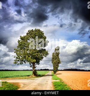 Paysage, Poitiers, France Banque D'Images