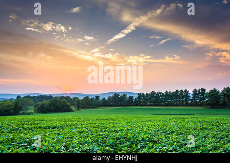 Ciel coucher de soleil incroyable sur les collines de Piegon et les champs agricoles, près de Spring Grove, en Pennsylvanie. Banque D'Images