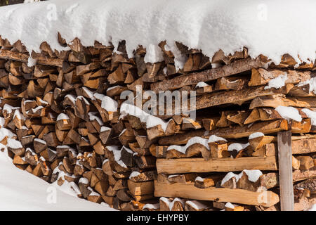 Tas de bois avec la neige, Tyrol, Autriche Banque D'Images