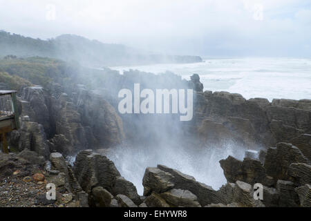 Souffleur à Punakaiki Rocks (crêpe), Île du Sud, Nouvelle-Zélande Banque D'Images