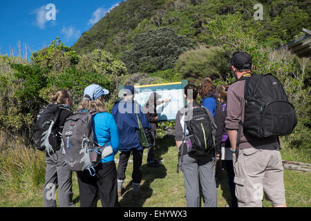 Donner des gardes de visite guidée pour les touristes, l'île de Kapiti, côte ouest de l'Île du Nord, Nouvelle-Zélande Banque D'Images