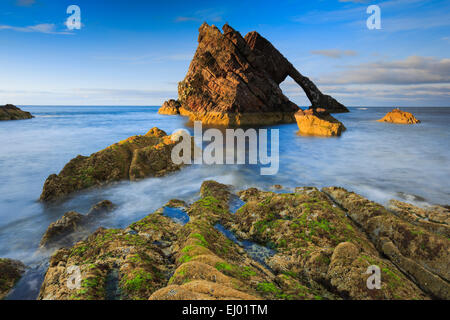 Arch, courbe, violon Archet de violon Archet, rock, rock, falaise, falaise, l'eau, Grande-Bretagne, falaises, littoral, paysage, paysage, mer, Moray Banque D'Images