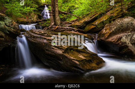 Les chutes et cascades d'ozone sur la cuisine Creek, à Glen Leigh, Ricketts Glen State Park, New York. Banque D'Images