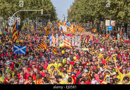 Barcelone, ville, Espana, Carré, drapeaux, Catalogne, célébration, colorée, foule, démonstration, aucun modèle-version, l'histoire, l'indep Banque D'Images