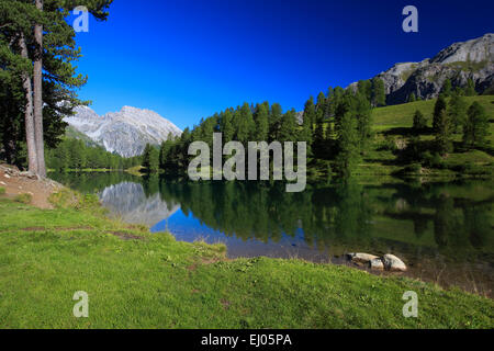 Col de l'Albula, l'Albula, Suisse, Europe, Alpes, montagne, Montagnes, Lac de montagne, Bergün, Grisons, Grisons, sky, mélèzes, Pa Banque D'Images