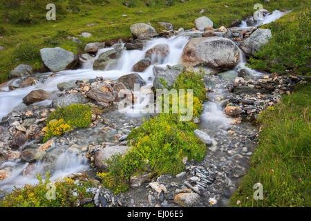 Creek Ruisseau, cours d'eau, circulation, rivière, débit, Riverbed, Grisons, Grisons, Julier, Julier, cascade, cascades, Morter Banque D'Images