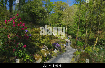 Jardin, Plas Cadnant, Menai Bridge, Anglesey, au nord ouest du pays de Galles Banque D'Images