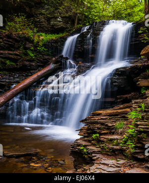 Chutes, Shawnee à Ricketts Glen State Park, New York. Banque D'Images