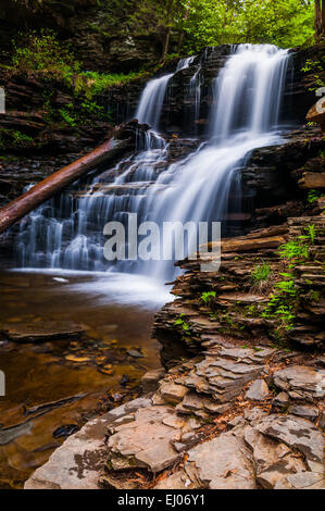 Chutes, Shawnee à Ricketts Glen State Park, New York. Banque D'Images