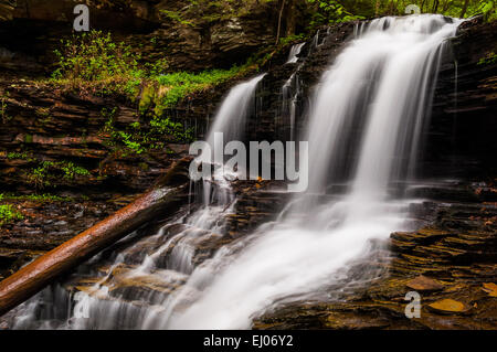 Chutes, Shawnee à Ricketts Glen State Park, New York. Banque D'Images