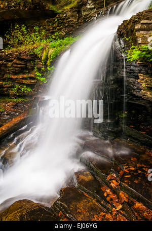 Chutes, Shawnee à Ricketts Glen State Park, New York. Banque D'Images