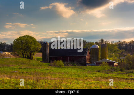 Les silos et grange sur une ferme en milieu rural dans le comté de York, Pennsylvanie. Banque D'Images