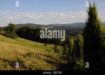 La Suisse, l'Europe, Bâle-Campagne, Jura, Laufental, bleu, Laufen, pâturage, saule, pré, pelouses sèches, le genévrier, l'été Banque D'Images