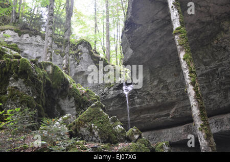 La Suisse, l'Europe, Jura, Goumois, Clos du Doubs, cascade, bief de Vautenaivre Banque D'Images