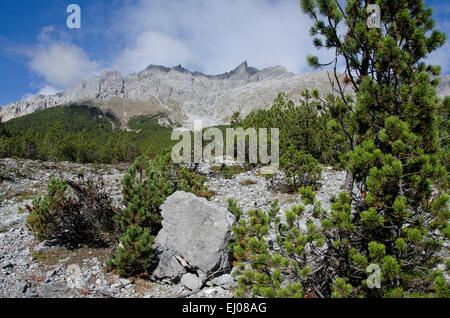 La Suisse, l'Europe, Grisons, Grisons, parc national, Engadine, basse-engadine, Zernez, Murtaröl, rock, falaise, montagne, peigne, Banque D'Images