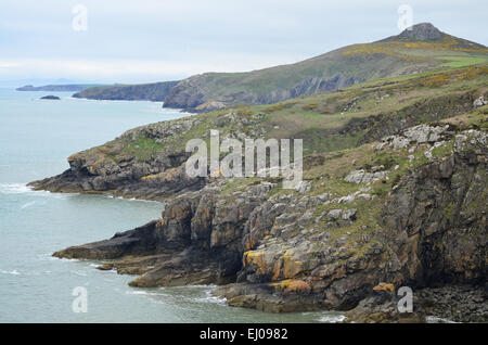 Pays de Galles, Grande-Bretagne, côte, Pembrokeshire, parc national, Chemin de Pembrokeshire Coast, l'Atlantique, Saint Davids, mer Banque D'Images