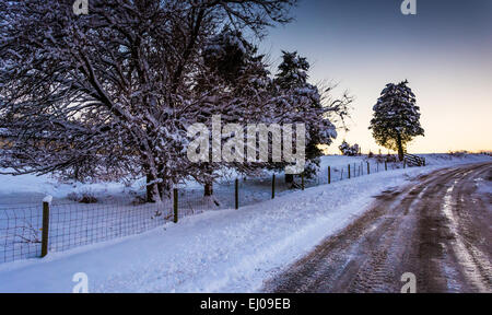 Les arbres couverts de neige et de terrain le long d'un chemin de terre en milieu rural dans le comté de York, Pennsylvanie. Banque D'Images